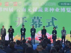 2020云南元謀蔬菜種業(yè)博覽會開幕